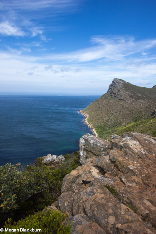 Cape Point View 2