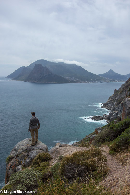 Cape Point View
