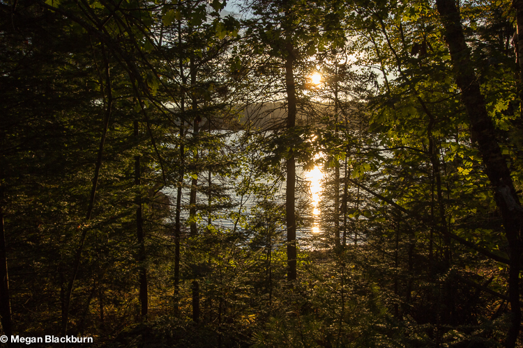 Maine Sunset in the Deep Woods