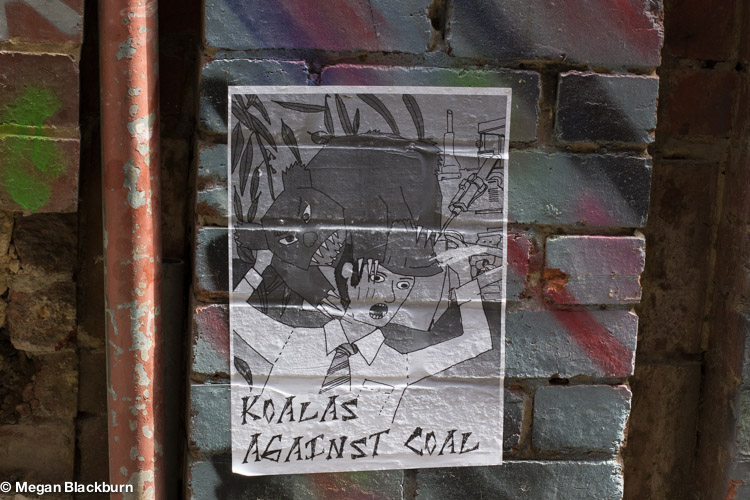 Year in Review Melbourne Street Art Koalas